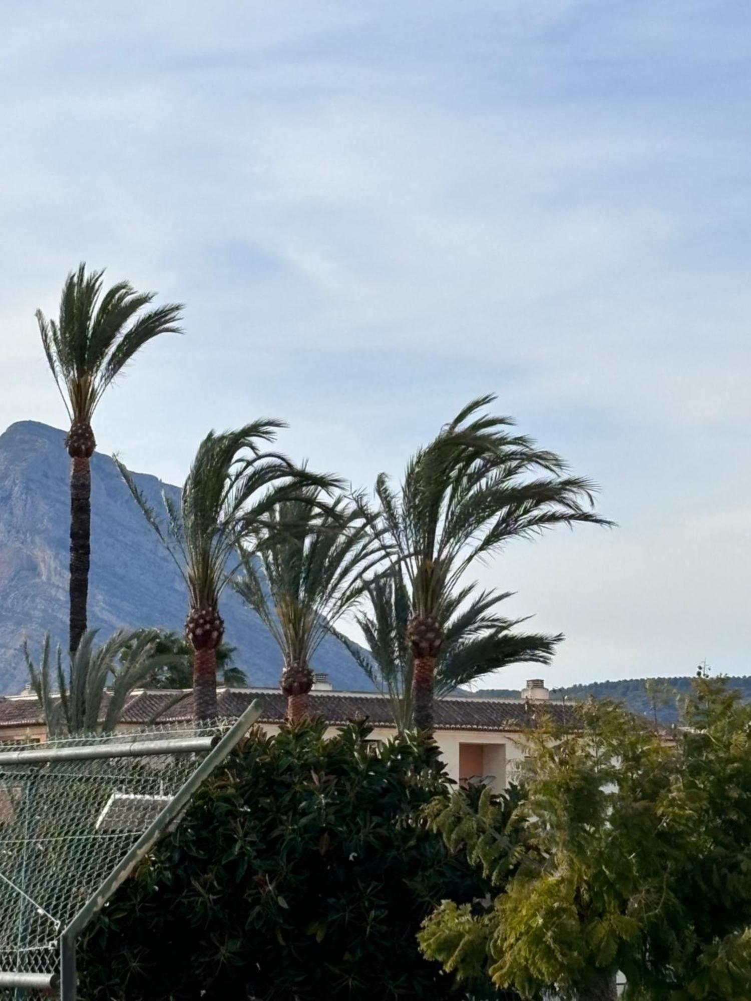Apartamento Tenis Club En Javea Platja de Larenal 外观 照片